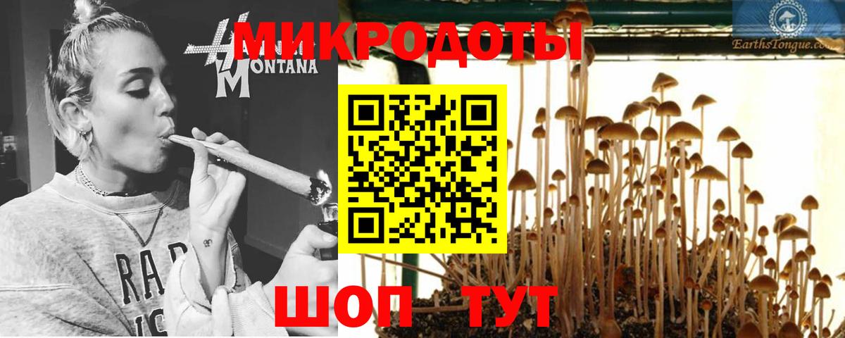 Галлюциногенные грибы Psilocybe  Вход с VPN  Орёл 